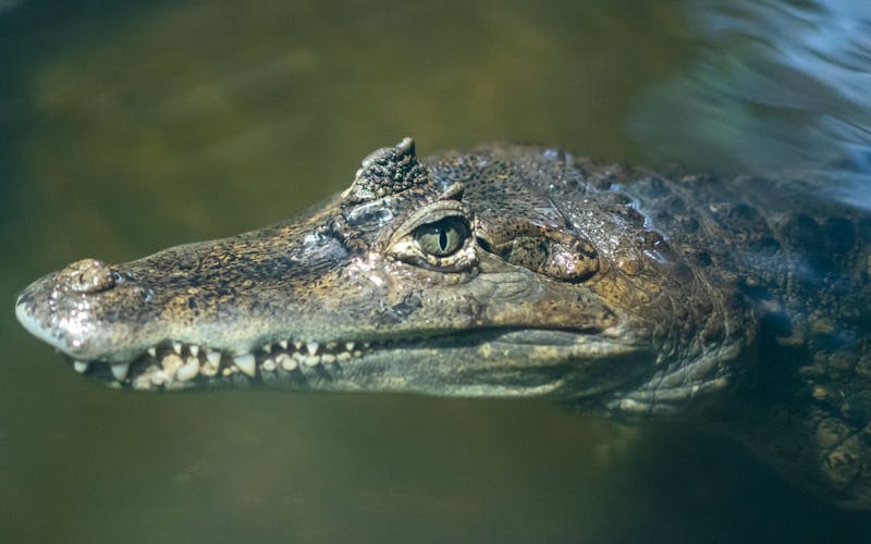 Osjetljivi zubi: uzroci i kako si pomoći
